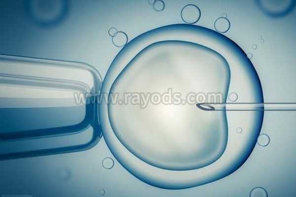 彭水借卵生子做三代成功率有多少_彭水卵巢功能衰退能借卵怀孕吗_为什么高龄