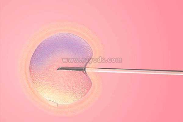 铁岭高龄借卵子生子成功率_试管移植哪种胚胎成功率高？冻胚以及囊胚移植3种