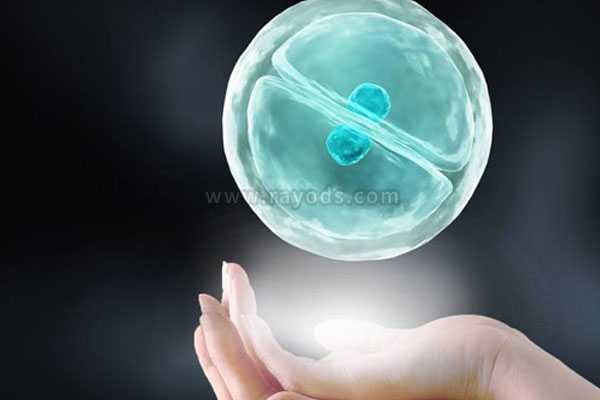 铁岭高龄借卵子生子成功率_试管移植哪种胚胎成功率高？冻胚以及囊胚移植3种