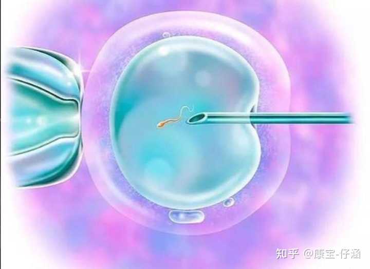 2023郑州供卵助孕机构排名公布附郑州最大的供卵机构详情_问道手游补福星